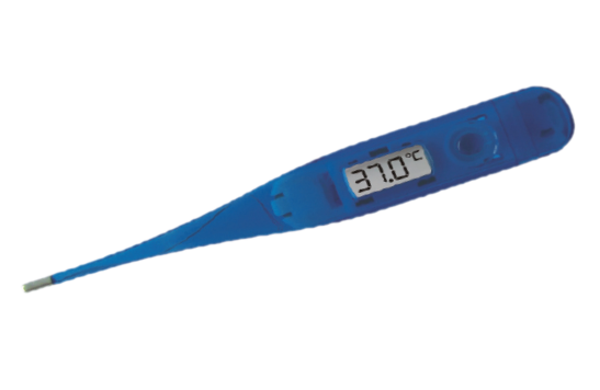 Transparent LCD Digital Thermometer, Thermometers