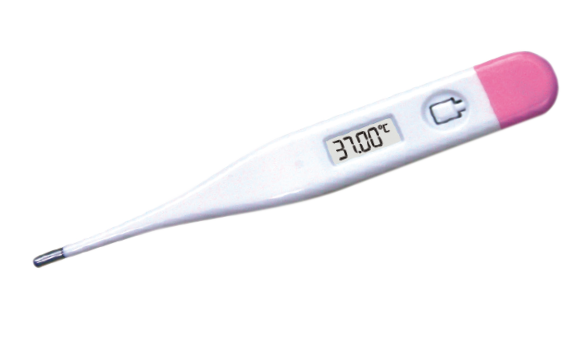 Endotracheal Tube, Cuffed