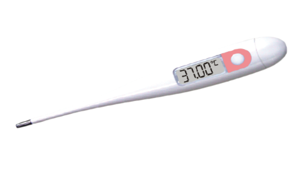 Endotracheal Tube, Cuffed