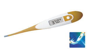 Flexible Thermometer